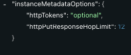 api-instance-metadata-vng-options-screenshot